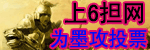 6担网